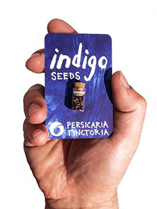 Indigo Seeds