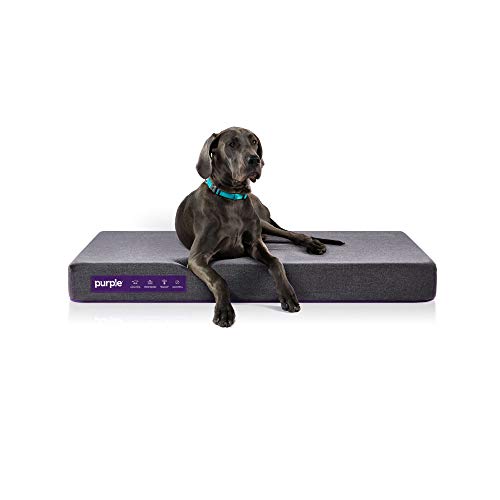 The Purple Pet Bed - Large