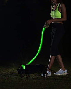 See why this LED Dog Collar is blowing up on TikTok.   #TikTokMadeMeBuyIt 