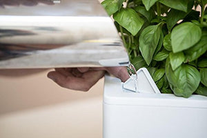 See why the Glowpear Self-Watering Plastic Planter Box is blowing up on TikTok.   #TikTokMadeMeBuyIt