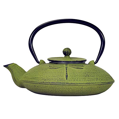 Green Dragonfly Japanese Tetsubin Cast Iron Teapot