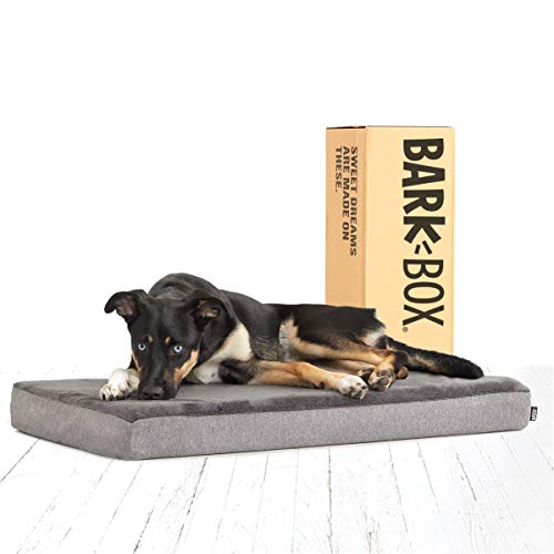 BarkBox Memory Foam Platform Dog Bed