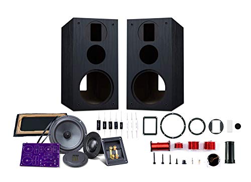 HiVi - DIY 3.1A - 3.1 Bookshelf Speakers - Near-Field Speakers - DIY Speaker Kit - Pair - Black