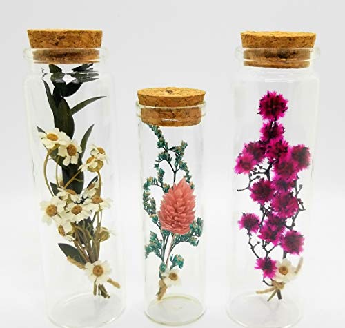 Preserved Flowers in Glass Bottle