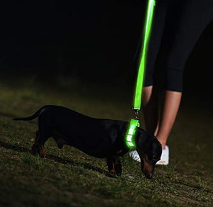 See why this LED Dog Collar is blowing up on TikTok.   #TikTokMadeMeBuyIt 