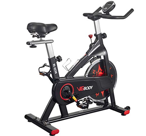 VIGBODY Exercise Bike Indoor Cycling Bike Adjustable Stationary Bicycle for Home Gym Workout Cardio Bikes Upright Bike