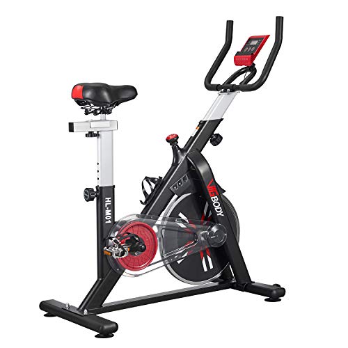 Vigbody best sale spin bike