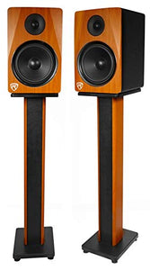 Rockville 2 RHTSC 36" Inch Bookshelf Speaker Stands Surround Sound Home Theater