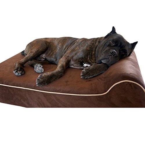 Bully Beds | Orthopedic Pillow Dog Bed w/Removable Cover, Chocolate, Large