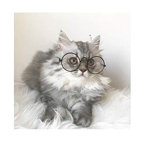 Glasses for Dogs and Cats