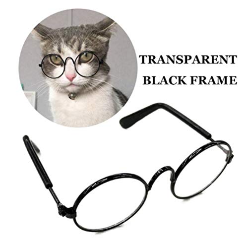 Glasses for Dogs and Cats
