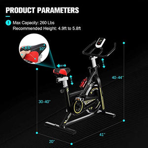 Doufit Indoor Cycling Bike Stationary, Exercise Bike for Home Use, Adjustable Belt Driven Spinning Workout Bicycle with Bottle Holder and LCD Monitor