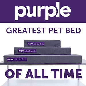 The Purple Pet Bed - Medium