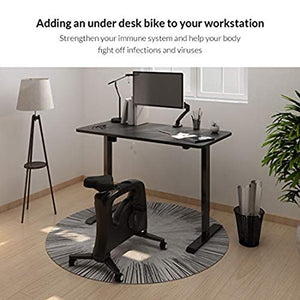 FLEXISPOT Adjustable Exercise Bike Desk Standing Desk Cycle for Home Office - Deskcise Pro