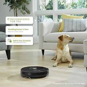 iRobot | Roomba 675 | Wi-Fi Connected Robot Vacuum | Black