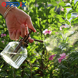 Transparent Glass Watering Plant Mister