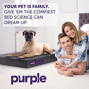 The Purple Pet Bed - Large
