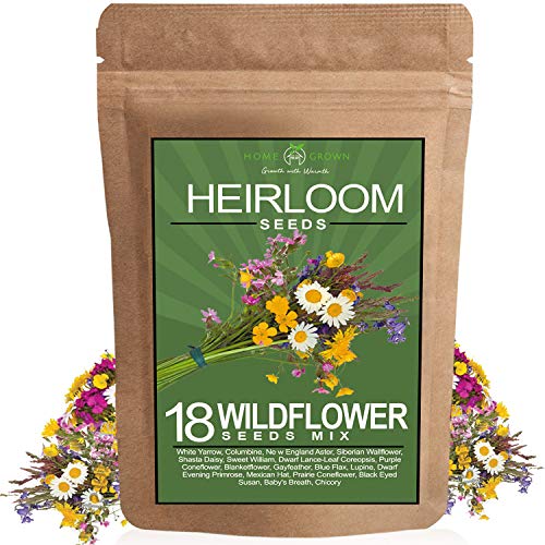 Wildflower Seeds