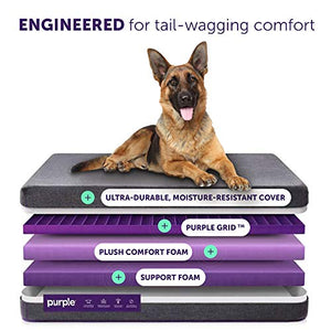 The Purple Pet Bed - Large