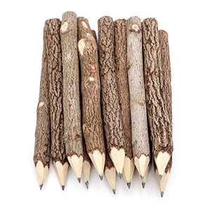 Wooden Tree Rustic Twig Pencils