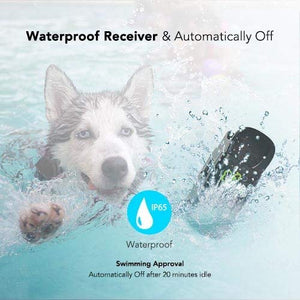 DogCare | Dog Training Shock Collar | Rechargeable | 3 Training Modes | 100% Waterproof | 1,000 Foot Range