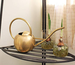 Brass Metal Small Watering Can