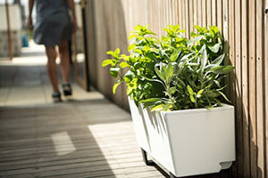 See why the Glowpear Self-Watering Plastic Planter Box is blowing up on TikTok.   #TikTokMadeMeBuyIt