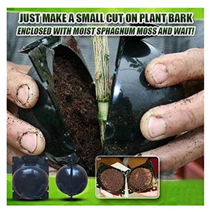 A capsule to use one your trees to root them.  See why this Tree Rooter Capsule - Root Propagation Tool is blowing up on TikTok.   #TikTokMadeMeBuyIt