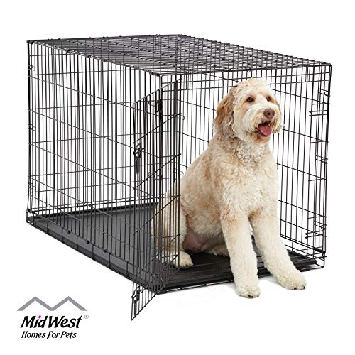 MidWest ICrate Folding Metal Dog Crate