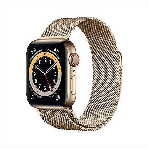 New Apple Watch Series 6 (GPS + Cellular, 40mm) - Gold Stainless Steel Case with Gold Milanese Loop
