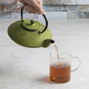 Green Dragonfly Japanese Tetsubin Cast Iron Teapot