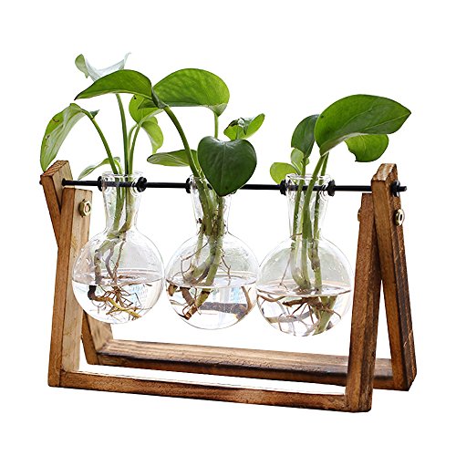 HUABEI | Plant Terrarium with Wooden Stand