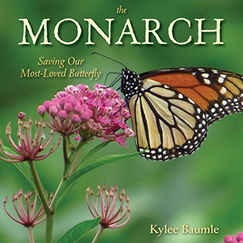 The Monarch: Saving Our Most-Loved Butterfly