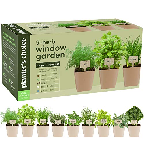 Herb Window Garden