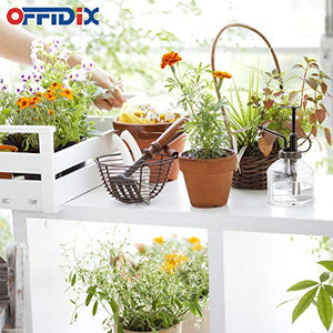 Transparent Glass Watering Plant Mister