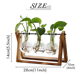 HUABEI | Plant Terrarium with Wooden Stand
