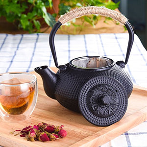 Japanese Tetsubin Cast Iron Teapot Tea Kettle