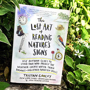 The Lost Art of Reading Nature's Signs